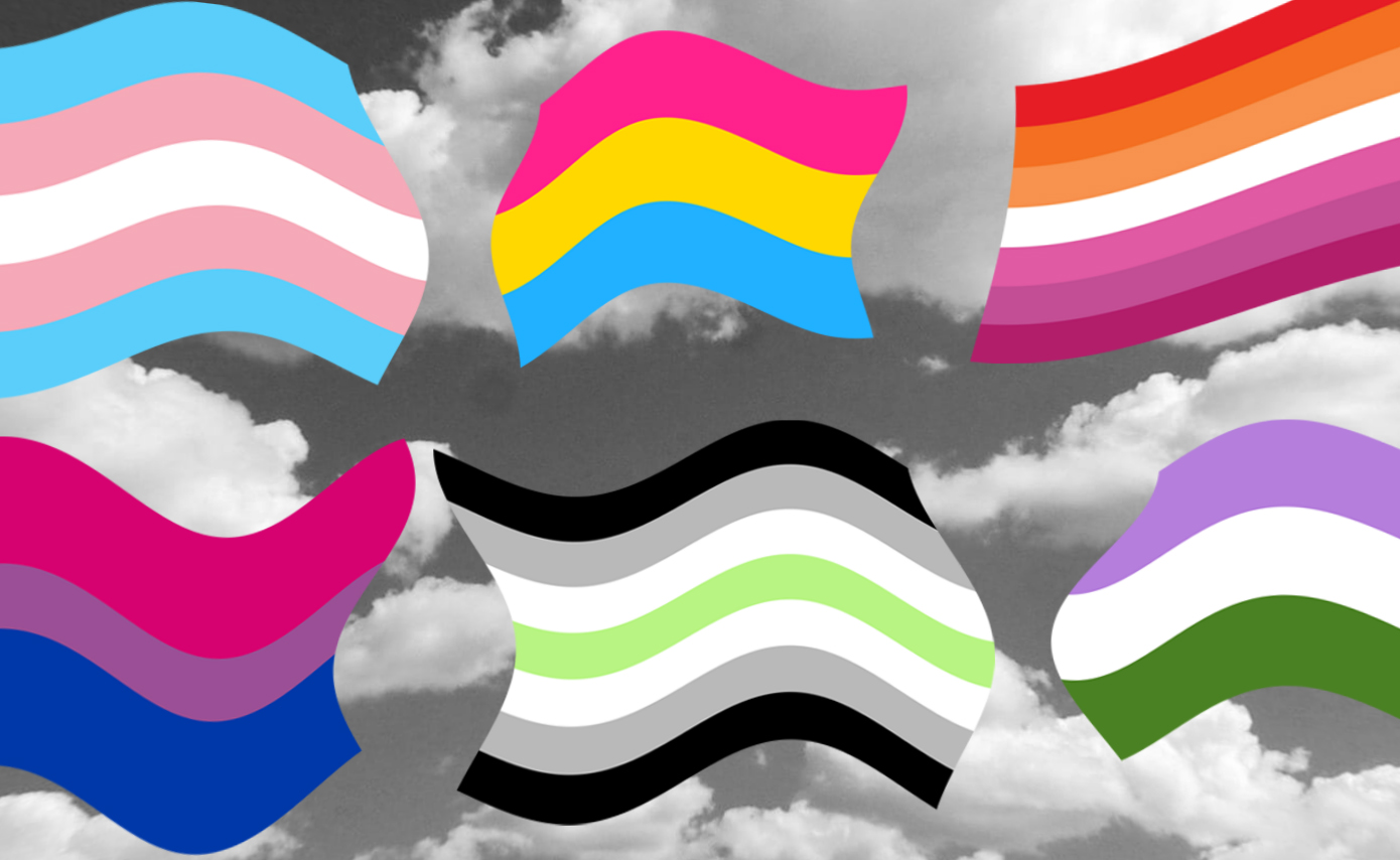 gay pride flags all